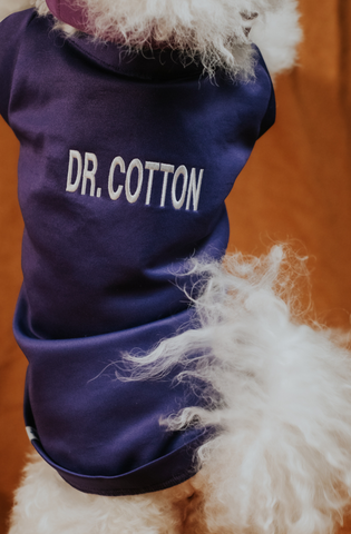 Pet scrub top
